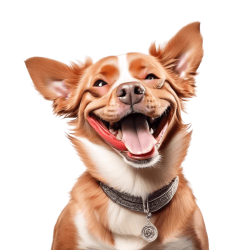 Smiling dog image